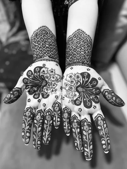 A black and white version of the peacock palm design, emphasizing the graceful lines and bold shapes.
