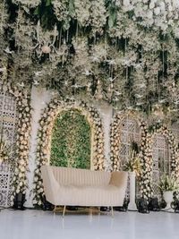 Social & Private Event Decoration