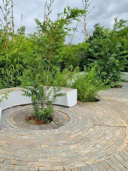 The detail of the circular paving and integrated seating shows the craftsmanship involved. A young tree is planted in the center, destined to grow and provide a canopy of shade for this quiet corner.