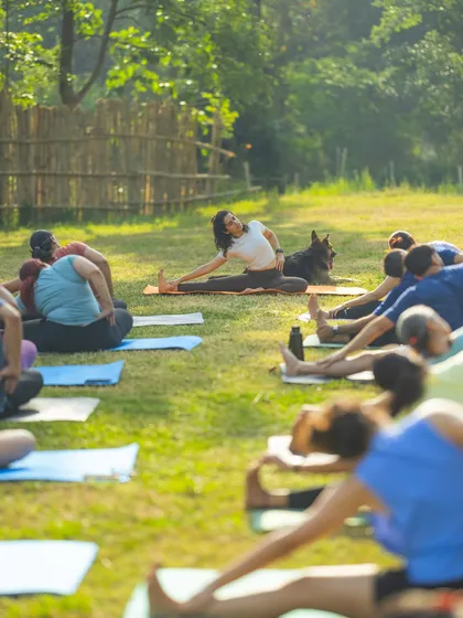 Leading an outdoor yoga session in the morning sun. It's always special to practice with nature, and sometimes, a furry friend joins in.