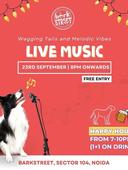 Wagging tails and melodic vibes. Our live music nights are the perfect blend of fun for you and your pup.