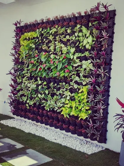 This is a living vertical garden I created for a residential terrace in Rammurthy Nagar. I carefully arranged a variety of live plants with different colors and textures to build a lush, green feature wall that brings the whole space to life.