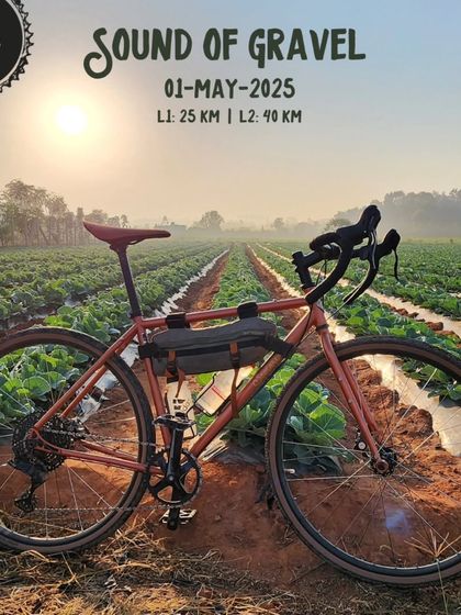 A gravel bike stands in a field at sunrise, ready for our 'Sound of Gravel' tour. We offer beginner and intermediate options for those looking to explore the joys of gravel riding.