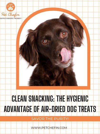 Savor the purity of clean snacking. Our air-dried treats offer a hygienic, convenient, and mess-free alternative to raw feeding without sacrificing nutrition.