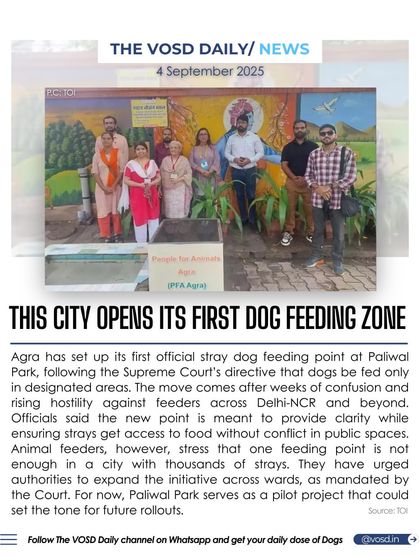 Following a Supreme Court directive, Agra has opened its first official stray dog feeding zone. This move aims to provide strays with access to food without causing conflict in public spaces.