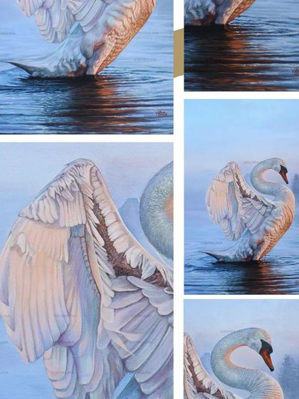 This collage provides a closer look at the details within 'The Swan' painting. It highlights the delicate feather textures and the soft reflections in the water, showcasing the realistic style of the artwork.