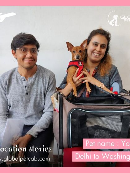 Global Pet Cab - International Pet Relocation Our Pawsengers: Dog Journeys photo 16