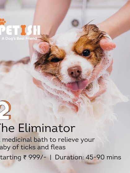 Petish Grooming - Mobile Grooming for Dogs & Cats Our Grooming Packages photo 6