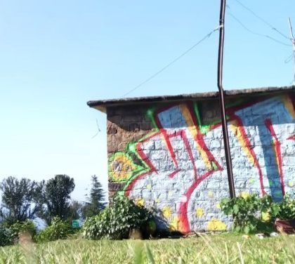 Yogi Graffiti - Custom Murals & Wall Art Pure Graffiti: Wildstyle & Crew Sessions photo 32