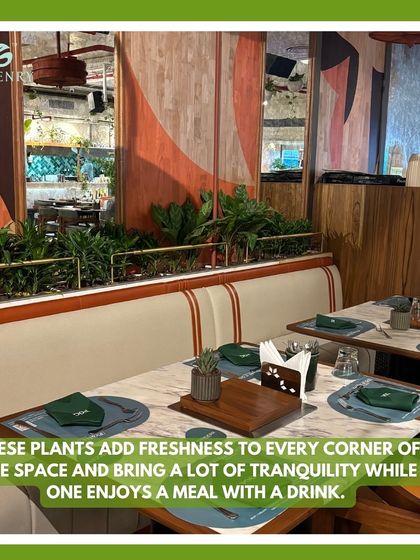 These planters are placed alongside booth seating to add freshness and tranquility to the dining experience. The greenery helps create a relaxing atmosphere where guests can enjoy their meal.