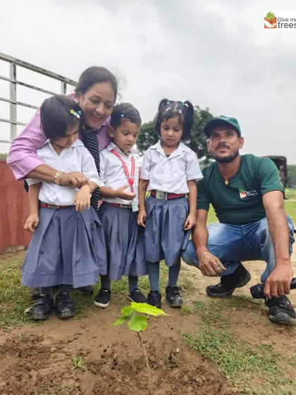 The youngest volunteers are often the most enthusiastic. Here, tiny tots from a local school plant a sapling with the help of their teacher and our team member in Meerut.