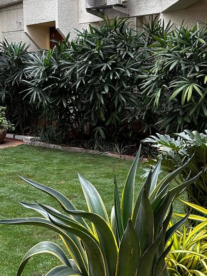 Make My Garden - Garden Design & Landscaping Commercial & Office Greening photo 5