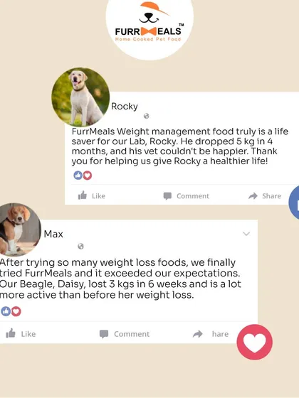 Listen to what other pet parents are saying. Rocky the Lab dropped 5 kg in 4 months, and Max the Beagle lost 3 kg in 6 weeks and is much more active. My weight management food truly is a life-saver.