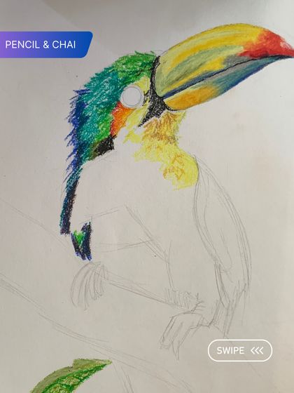 A student's work-in-progress of a colorful toucan, showing the process of layering colored pencils to build up vibrant feathers.
