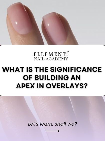 Let's learn about the significance of building an apex in overlays. This crucial step provides structural support and ensures the longevity of the nail enhancement.