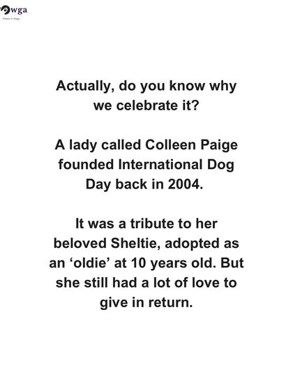 We share the origin story of International Dog Day, founded by Colleen Paige as a tribute to her adopted senior dog, to remind everyone of the value of adopting, not shopping.