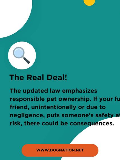 DogNation - Dog Training & Behavior Dog Care & Wellness Guides photo 27