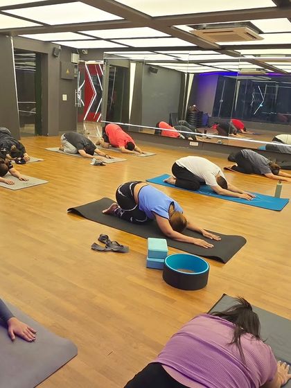 Deep Dive: Studio Asana & Technique photo 9