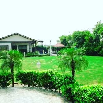 A glimpse into a farmhouse horticulture project I developed. I focus on creating expansive, healthy lawns and selecting trees and shrubs that complement the property's architecture.