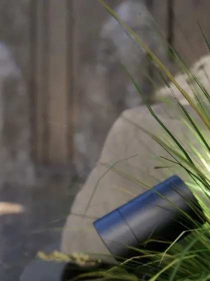 A detail shot of our landscape lighting. An adjustable spotlight is strategically placed within the greenery to highlight the texture of plants and cast a gentle glow on a nearby water feature, enhancing the garden's nighttime beauty.