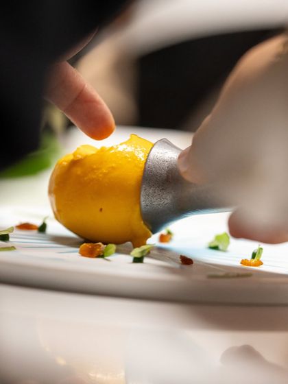 A perfect quenelle of sorbet being placed on a plate, a fundamental skill for elegant dessert presentation.