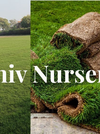 A collage showing my Doob grass fields and the ready-to-install turf rolls. It's a reliable and cost-effective option.