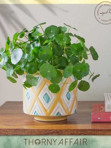 Thorny Affair - Pots & Planters Artisanal Ceramic Planters photo 46