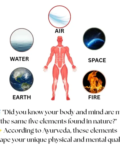 Rohit N - Yoga Teacher Training The Science of Yoga & Ayurveda photo 28