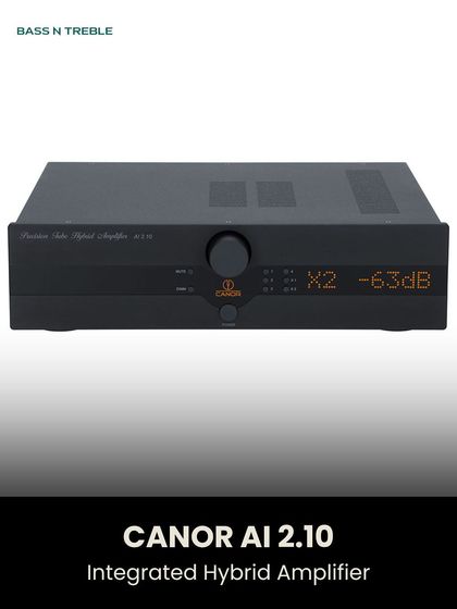 The Heart of the System: Amplifiers, DACs & Components photo 13