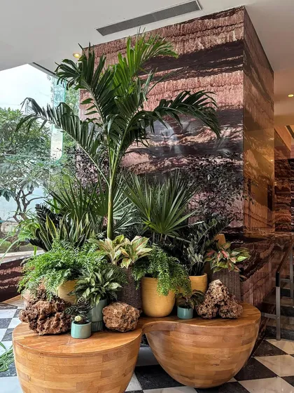 A dynamic, lush plant arrangement can soften even the grandest of spaces. Here, at the Westin Mumbai Powai, we used a curated cluster of plants to bring life and natural texture to the end of a grand staircase.