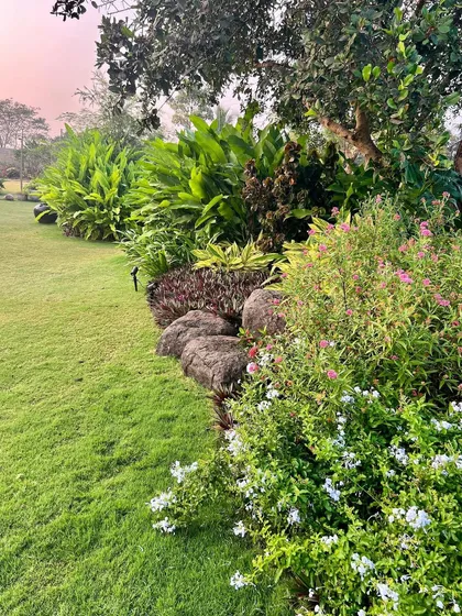 Natural boulders are nestled among flowering shrubs and a manicured lawn. I often use locally sourced stones in my designs to add a sculptural element and create a seamless blend between the manicured and the wild.