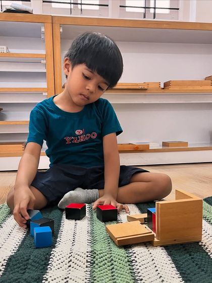 A child works with the Binomial Cube, a material that introduces algebraic concepts in a concrete, sensorial way. The ordered, color-coded blocks create a foundation for understanding mathematical patterns.