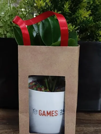 An Earth Day gift for Games 24x7, packaged in a kraft paper bag with a window to display the branded plant inside.