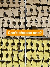 Natural & Functional Pet Treats