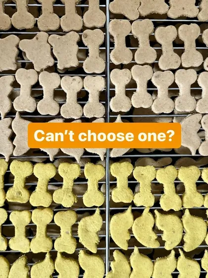 A beautiful overhead shot of my different cookie varieties cooling on a rack. You can see the natural colors from ingredients like turmeric and beetroot. This is what real, handmade dog treats look like.