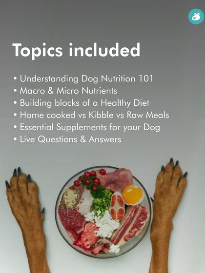 The Pack - Pet Parent Education & Workshops Expert-Led Online Masterclasses photo 28