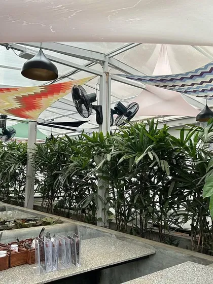 At The Big Barn pub, we used dense rows of Rhapis palms to create a natural barrier and define the seating booths. This adds privacy for customers while contributing to the venue's tropical, open-air theme.