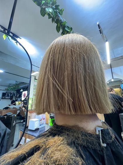 The process of creating a sharp, precise bob. You can see the clean line being cut, which is the foundation of this classic style.