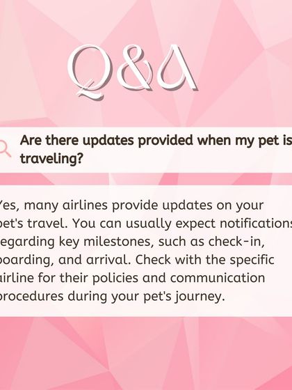 Global Pet Cab - Domestic Pet Relocation Your Pet Travel Questions, Answered photo 9