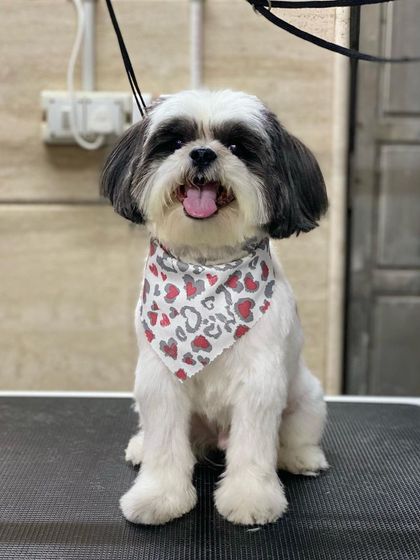 Back on the table, Joy is all smiles for the camera.
