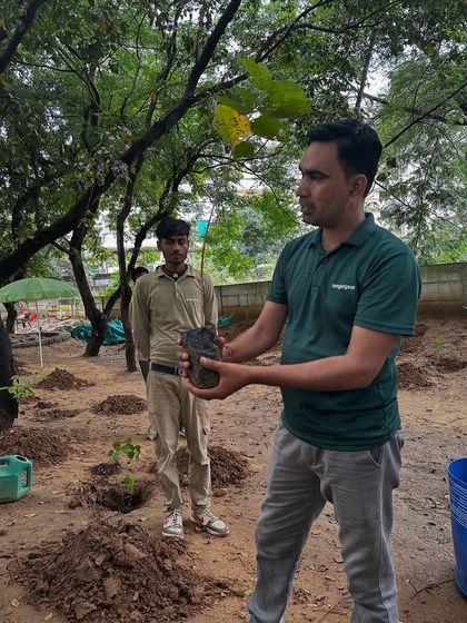 An expert from our team holds up a native sapling, explaining its unique characteristics to volunteers from Calpro Specialities. We focus on ecological intelligence, choosing plants adapted to the Aravali climate.