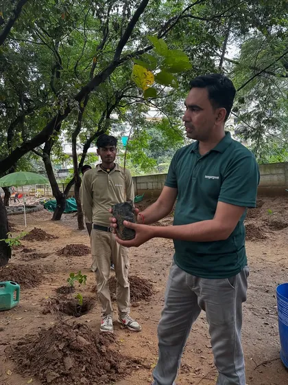 An expert from our team holds up a native sapling, explaining its unique characteristics to volunteers from Calpro Specialities. We focus on ecological intelligence, choosing plants adapted to the Aravali climate.