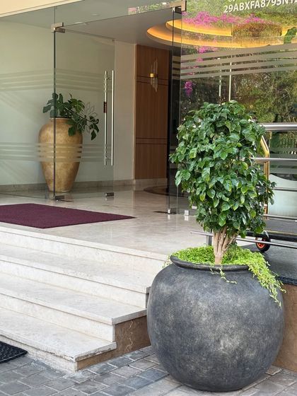 Greening Commercial Spaces photo 42