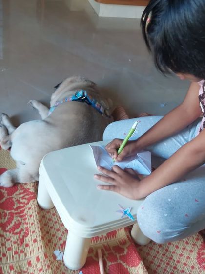 Preethi Pet Care - Pet Boarding Cozy Indoor Comfort photo 38