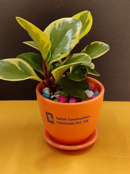 Branded Corporate Gifting photo 29