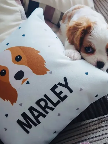 I love creating gifts for every member of the family, including the furry ones. This personalized satin cushion features a custom illustration of Marley, making it a soft and special keepsake.