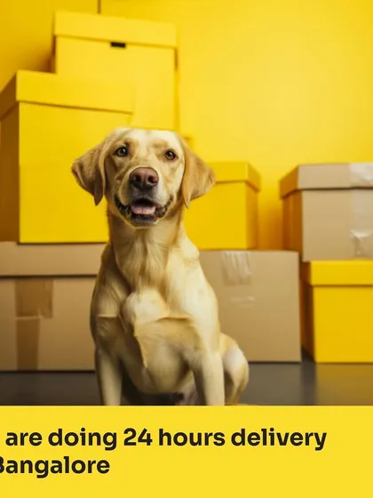 Need pet supplies in a hurry? We've got you covered with 24-hour delivery across Bangalore. Get your pet's favorite food, treats, and toys delivered right to your doorstep, fast.