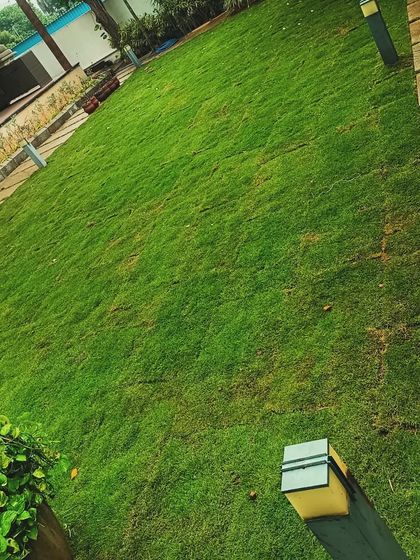 Lush Lawn Installations photo 5