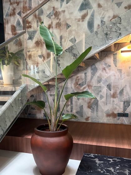 Indoor Plant Styling & Green Interiors photo 30