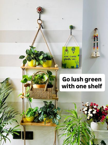Go lush green with one shelf. Our three-tier wooden shelf provides ample space for your plants, and this set comes with six ceramic planters to get you started.